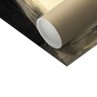 image6