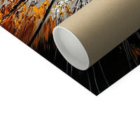image6
